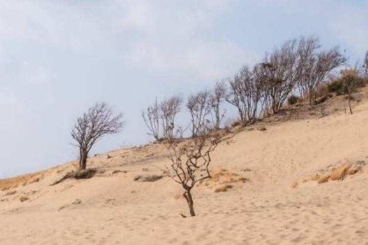 굴업도 여행 추천 - 메고지고