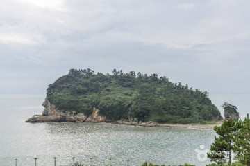 신의도 여행 추천 - 메고지고