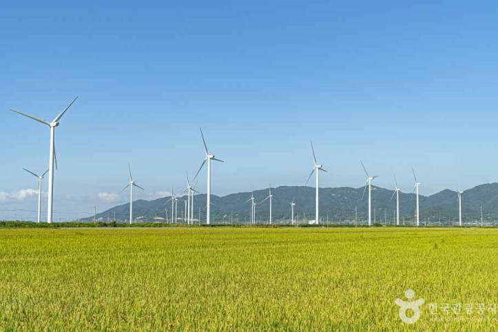 영광풍력발전단지 여행 추천 - 메고지고