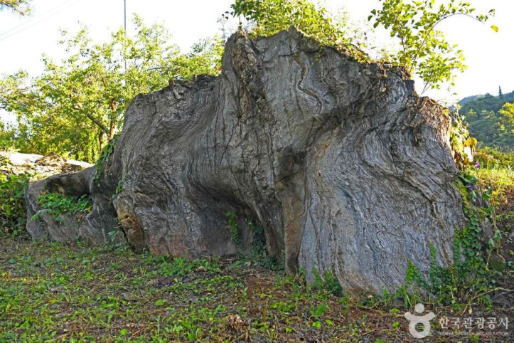 삼태산 경관 여행 추천 - 메고지고