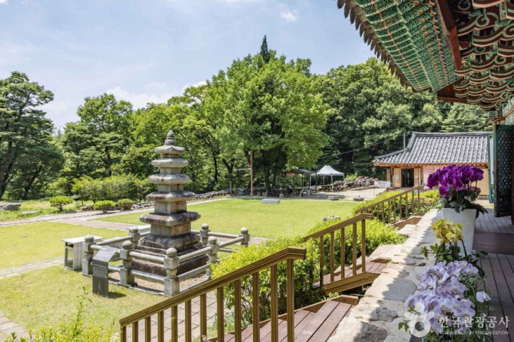 보살사(청주) 여행 추천 - 메고지고