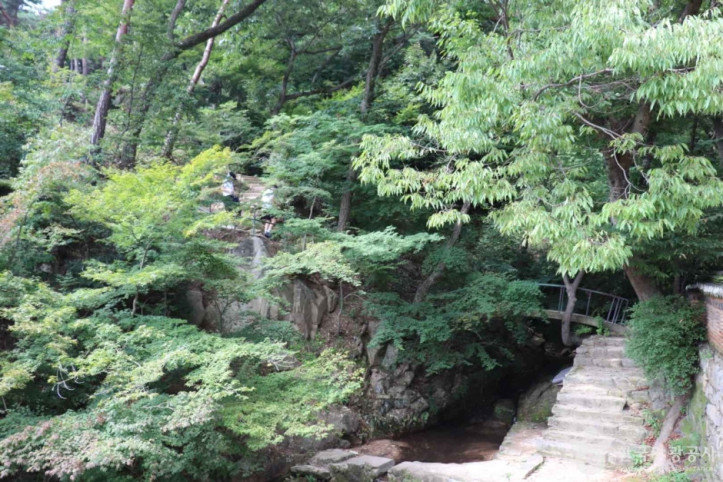 덕숭산 여행 추천 - 메고지고