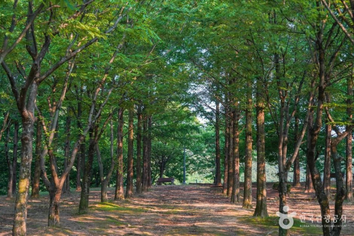 옻골동산 여행 추천 - 메고지고
