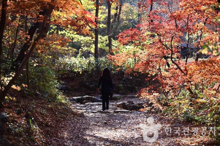 조계산도립공원 여행 추천 - 메고지고