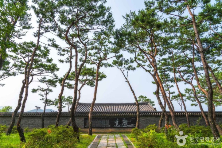 세미원 여행 추천 - 메고지고