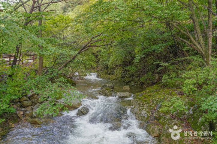 국립 운장산자연휴양림 여행 추천 - 메고지고