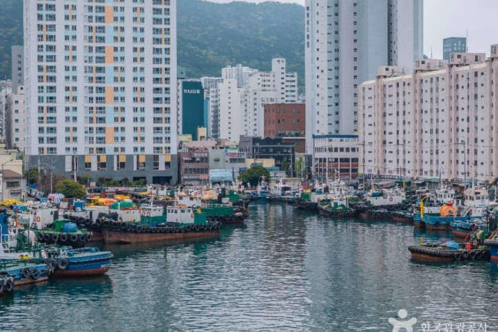부산남항 여행 추천 - 메고지고