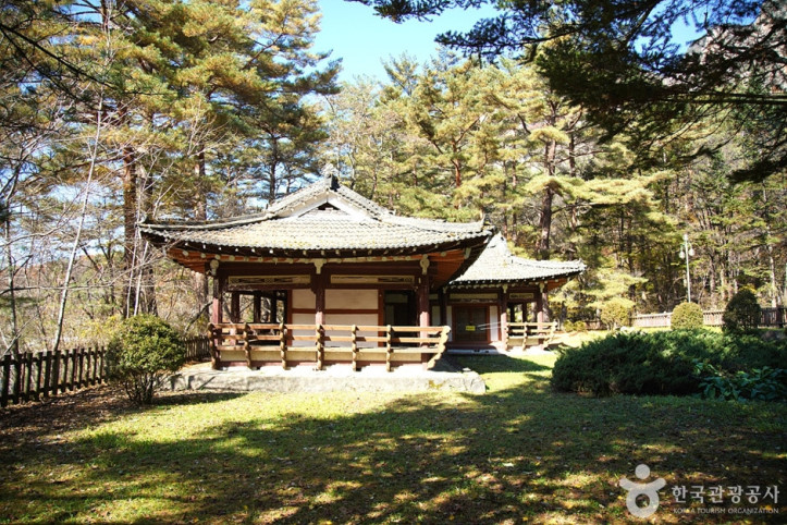 장수대 여행 추천 - 메고지고