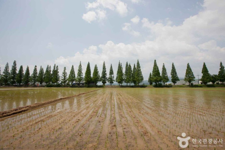 죽동마을 여행 추천 - 메고지고
