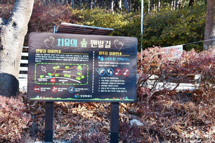 창원 편백 치유의 숲 여행 추천 - 메고지고