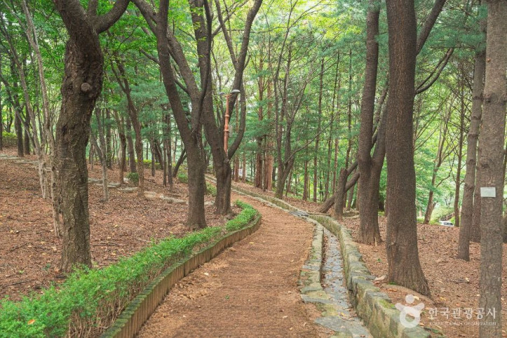 은행공원 여행 추천 - 메고지고