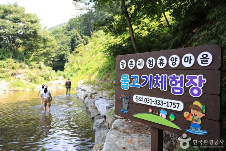 영농조합 장촌마을 여행 추천 - 메고지고
