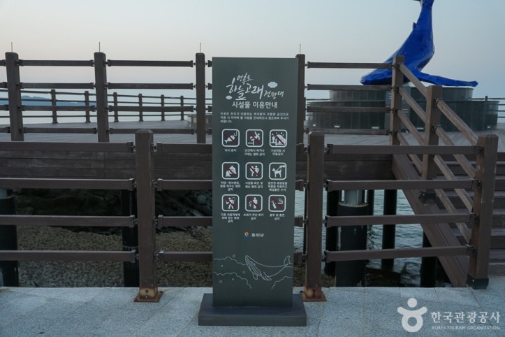영흥도 하늘고래전망대 여행 추천 - 메고지고