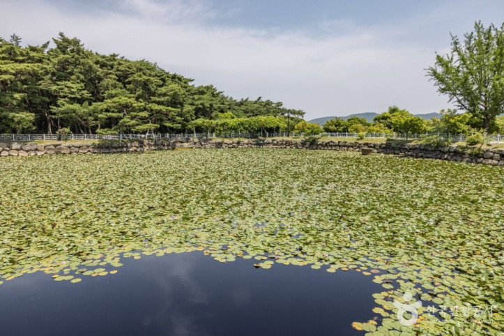 통일전(경주) 여행 추천 - 메고지고