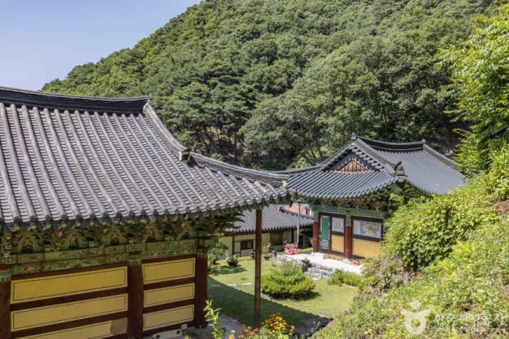 월리사(청주) 여행 추천 - 메고지고