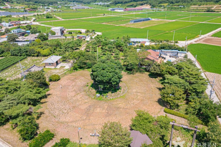 우동리당산 여행 추천 - 메고지고