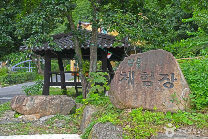 단양 감골 바람개비마을 여행 추천 - 메고지고