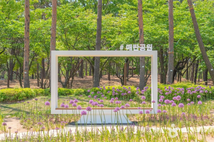 매탄공원 여행 추천 - 메고지고