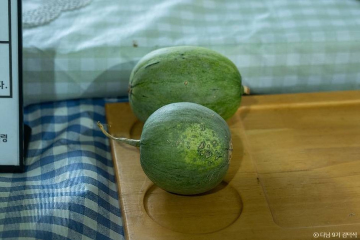 야미야미팜(야미야미팜농업회사법인(주)) 여행 추천 - 메고지고