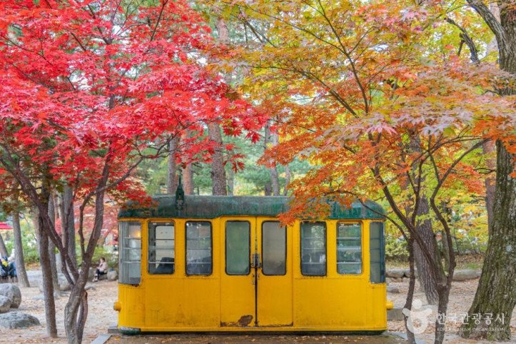 설악산 케이블카 여행 추천 - 메고지고
