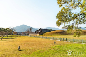 경주 비단벌레 전동차 여행 추천 - 메고지고