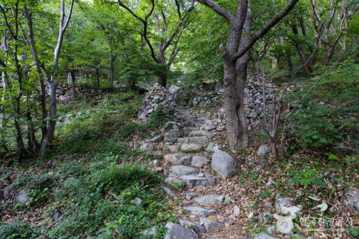 봉래산(부산) 여행 추천 - 메고지고