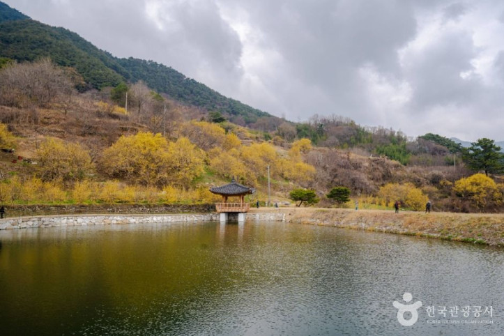 현천마을 여행 추천 - 메고지고