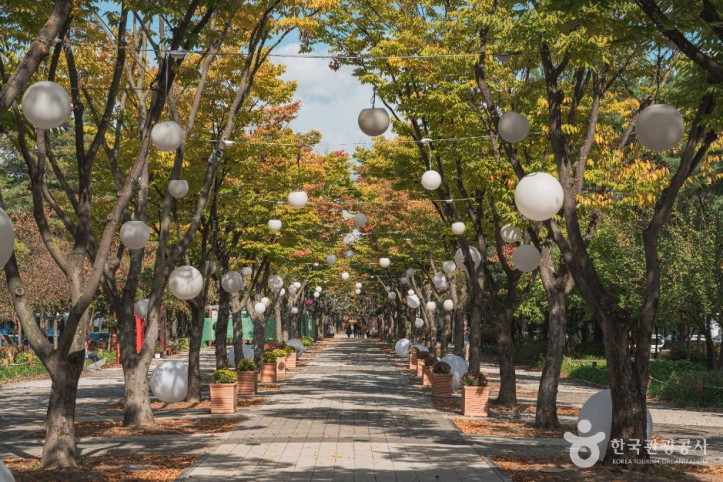 보라매공원(대전) 여행 추천 - 메고지고