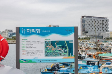부산항 영도 크루즈터미널 여행 추천 - 메고지고