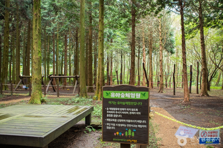붉은오름자연휴양림 여행 추천 - 메고지고