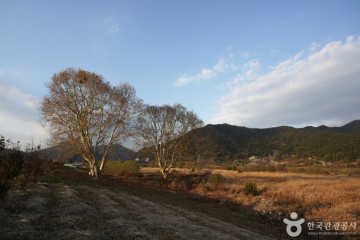 마금산원탕 여행 추천 - 메고지고