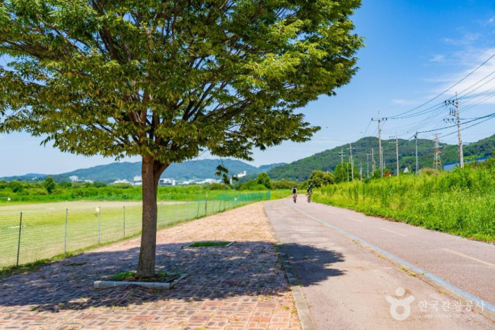 부용체육공원 여행 추천 - 메고지고