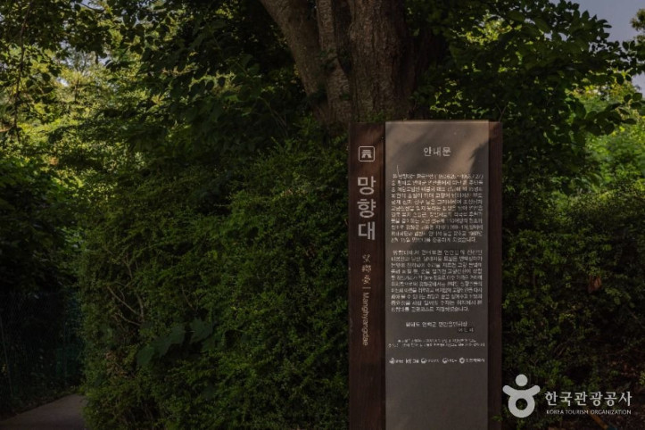 망향대 여행 추천 - 메고지고