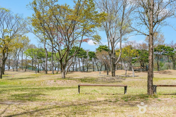 신라왕경숲 여행 추천 - 메고지고