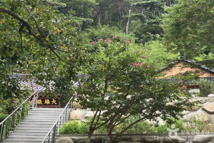 일출선원(포항) 여행 추천 - 메고지고