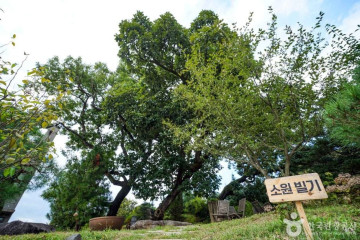 황희선생묘 여행 추천 - 메고지고