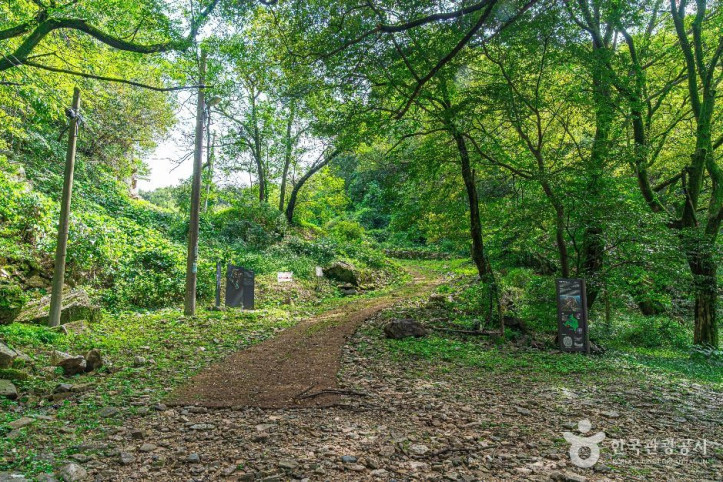 동고산성 여행 추천 - 메고지고