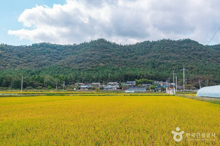 남도한옥민박마을 여행 추천 - 메고지고