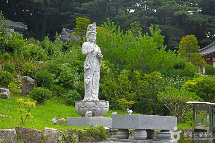 월명사(제천) 여행 추천 - 메고지고