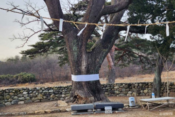 영은사(삼척) 여행 추천 - 메고지고