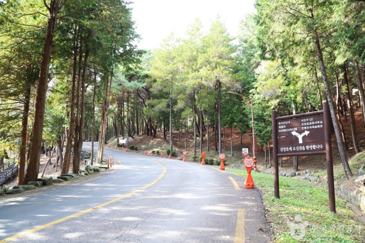 진양호 일주도로 여행 추천 - 메고지고