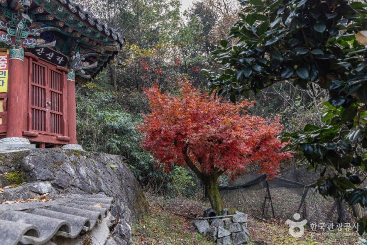 약수암(전주) 여행 추천 - 메고지고