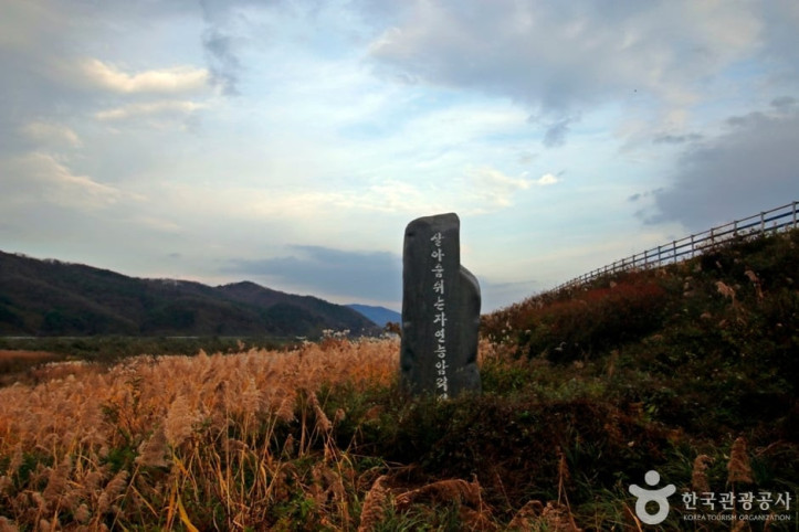 봉황경(능암리섬) 여행 추천 - 메고지고