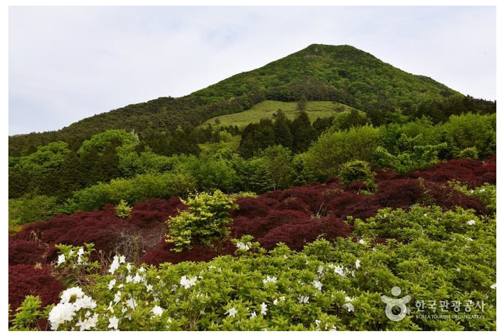 만연산 여행 추천 - 메고지고