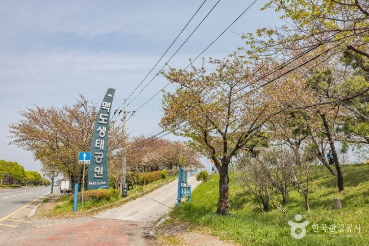 맥도생태공원 여행 추천 - 메고지고