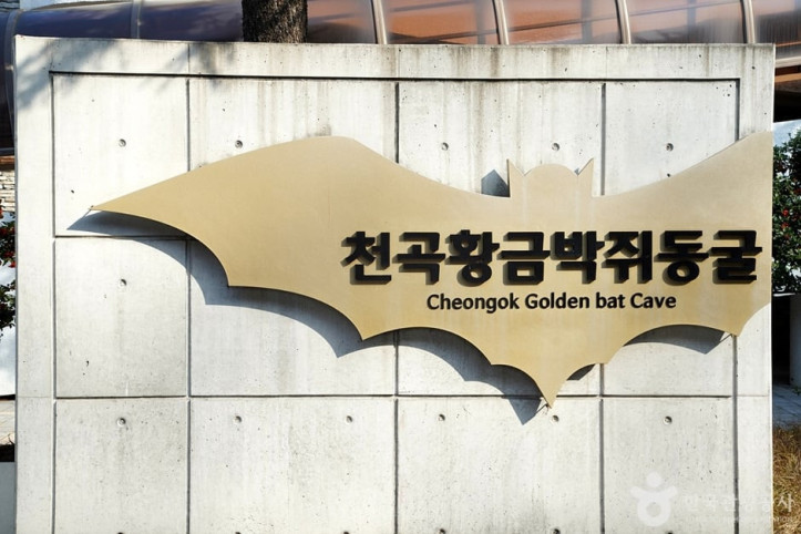 천곡천연동굴 자연학습체험공원 여행 추천 - 메고지고