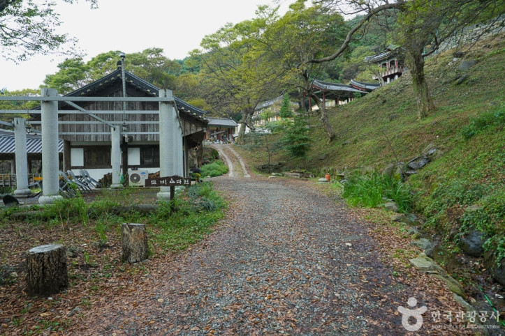 도비 마루길 여행 추천 - 메고지고