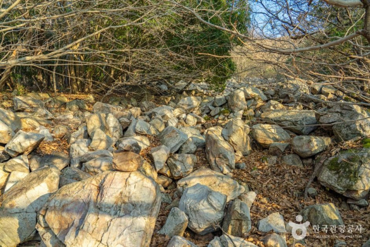 달마고도 여행 추천 - 메고지고