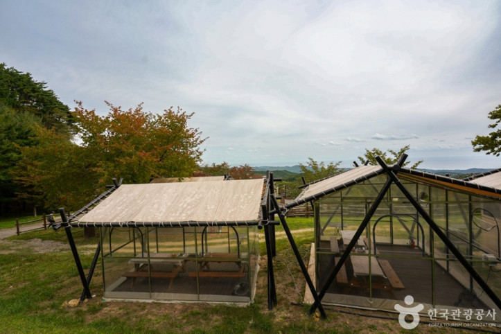 경주 마우나오션 리조트 여행 추천 - 메고지고