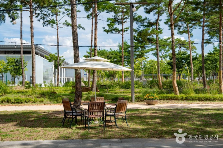 세종중앙공원 여행 추천 - 메고지고